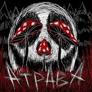 Атрава — Грибы